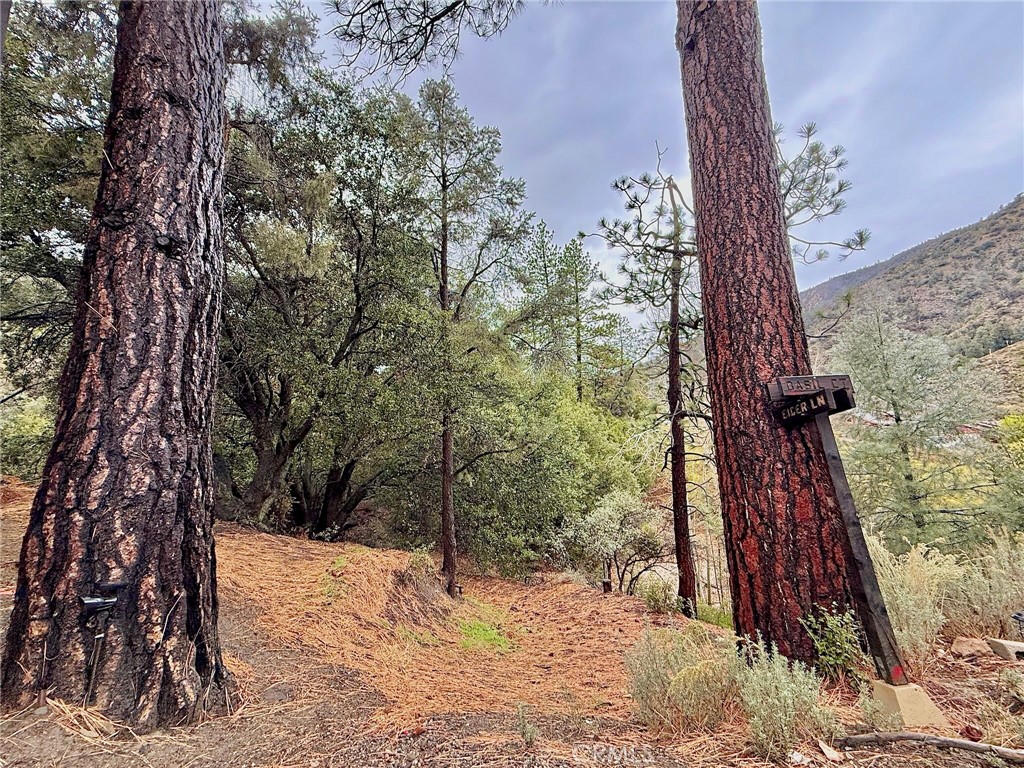 MLS #SR25263645 image #24