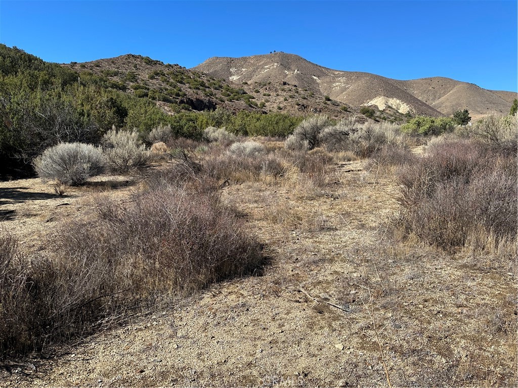 MLS #SR25263699 image #0