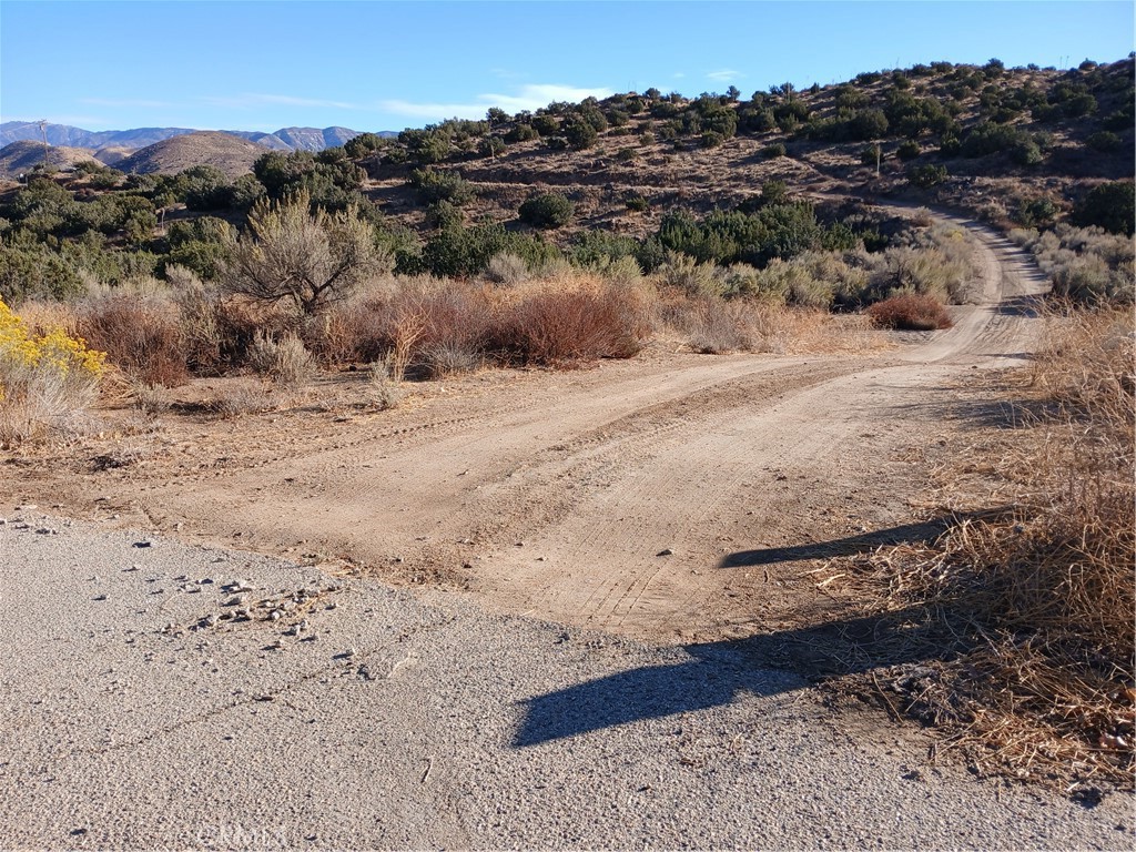 MLS #SR25263699 image #3