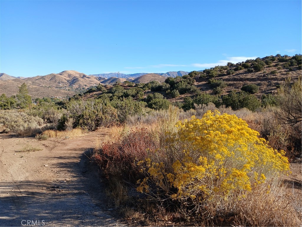 MLS #SR25263699 image #5