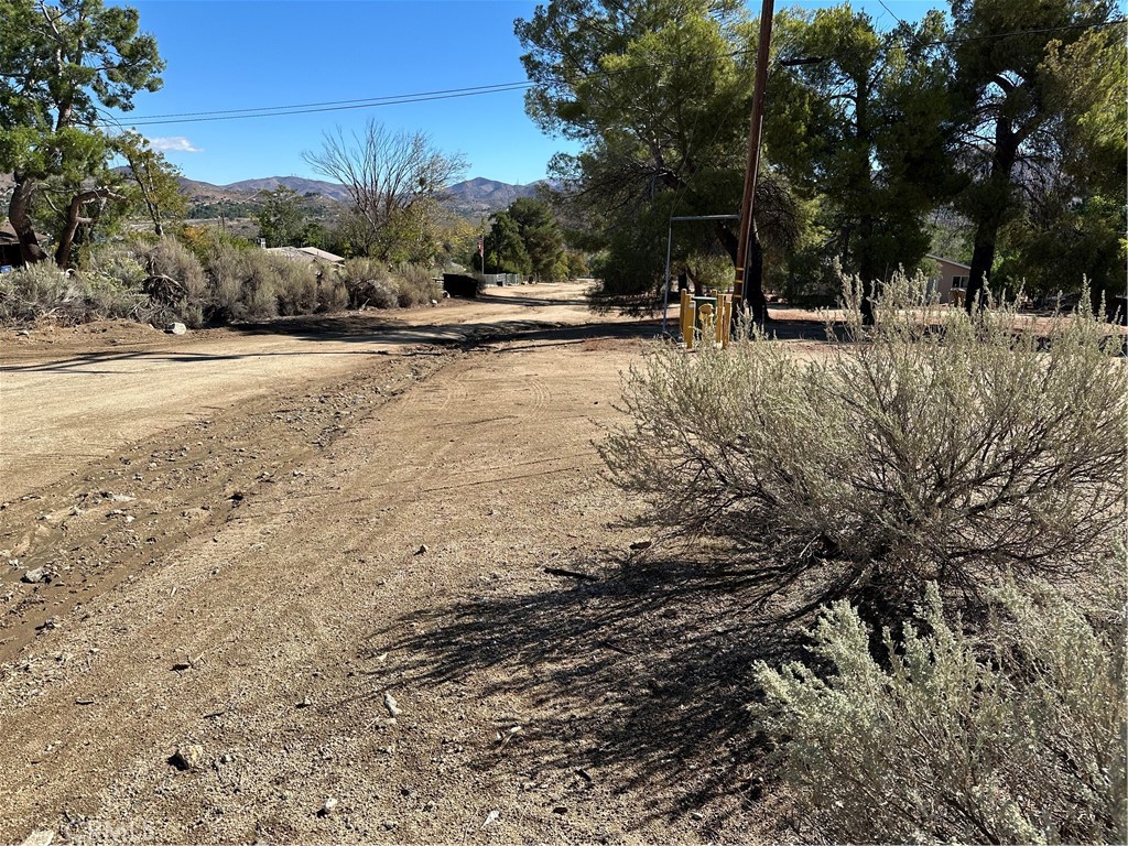 MLS #SR25263699 image #7