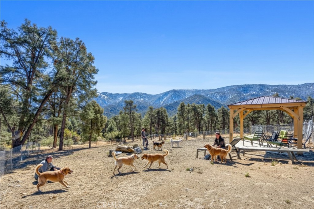 MLS #SR25263728 image #52