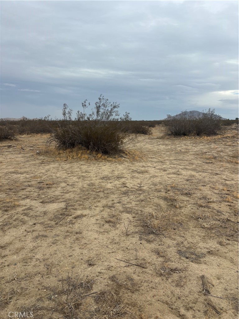 MLS #SR25264151 image #2