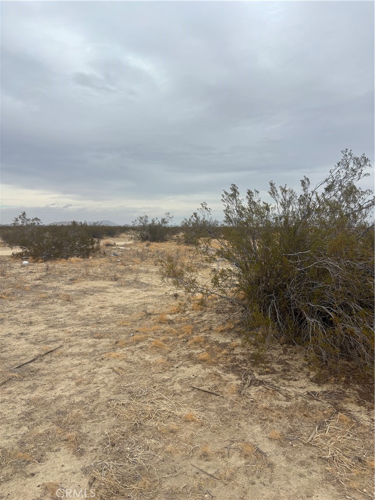 MLS #SR25264151 image #4