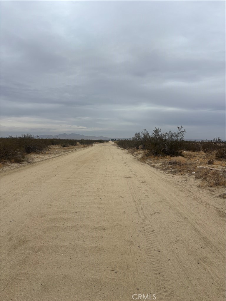 MLS #SR25264151 image #5