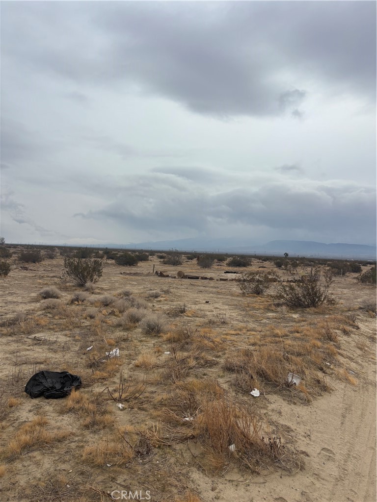 MLS #SR25264151 image #7