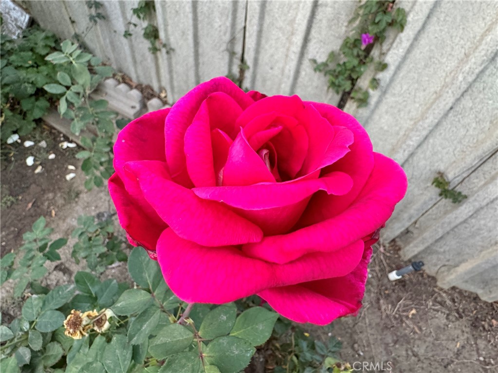 MLS #SR25264721 image #33