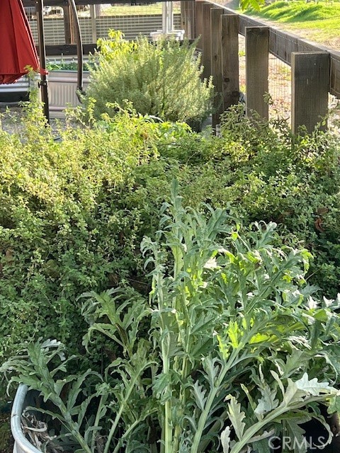 MLS #SR25264883 image #24