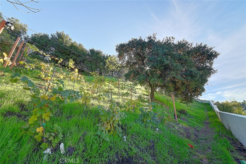 MLS #SR25265269 image #35