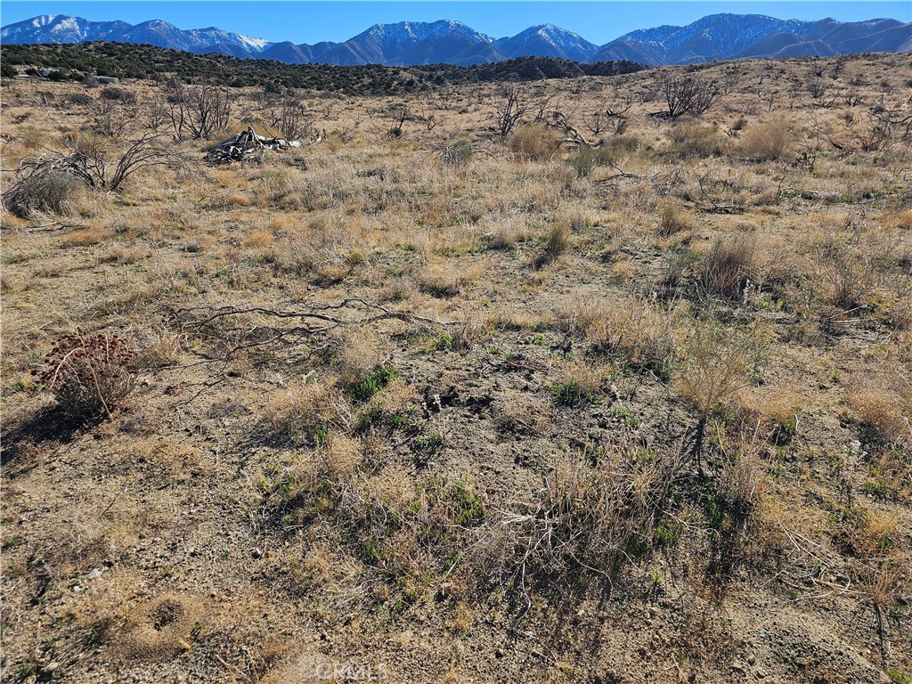 MLS #SR25266658 image #1