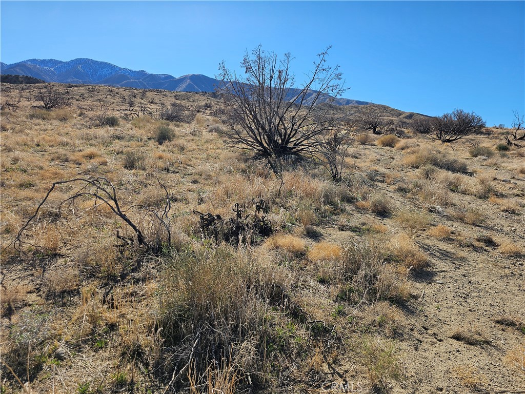 MLS #SR25266658 image #2