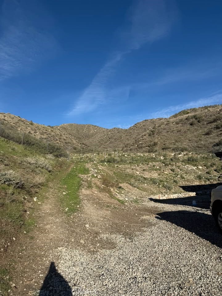 MLS #SR25267760 image #5