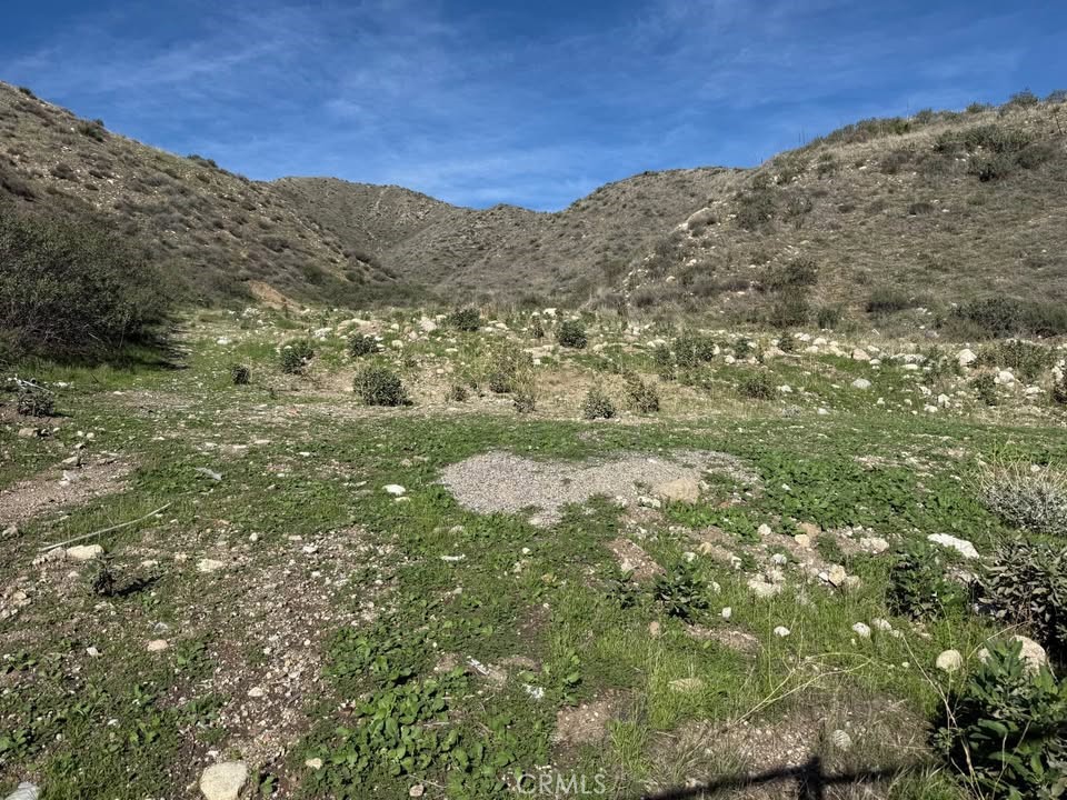 MLS #SR25267760 image #8