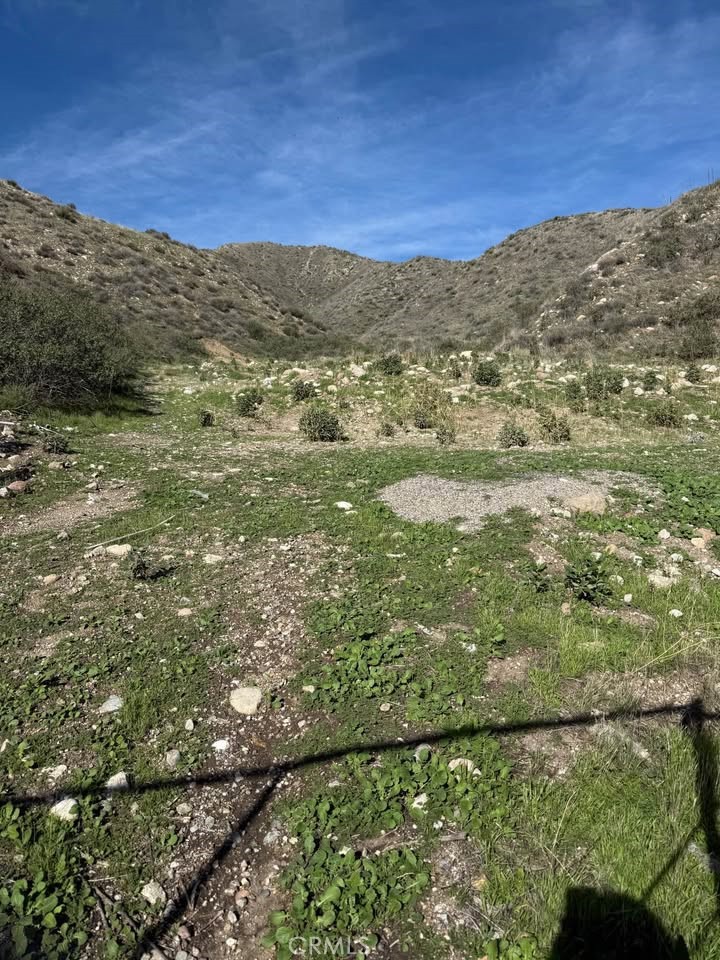 MLS #SR25267760 image #9