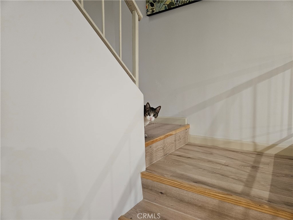 MLS #SR25267934 image #9