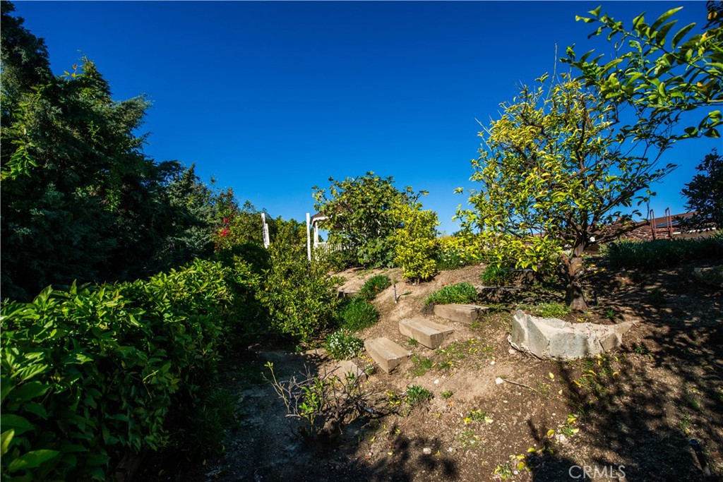 MLS #SR25268054 image #31