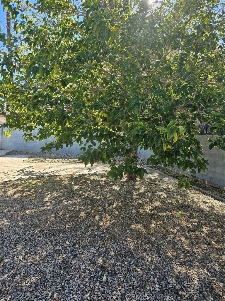 MLS #SR25268442 image #15