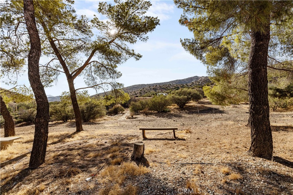 MLS #SR25268820 image #18