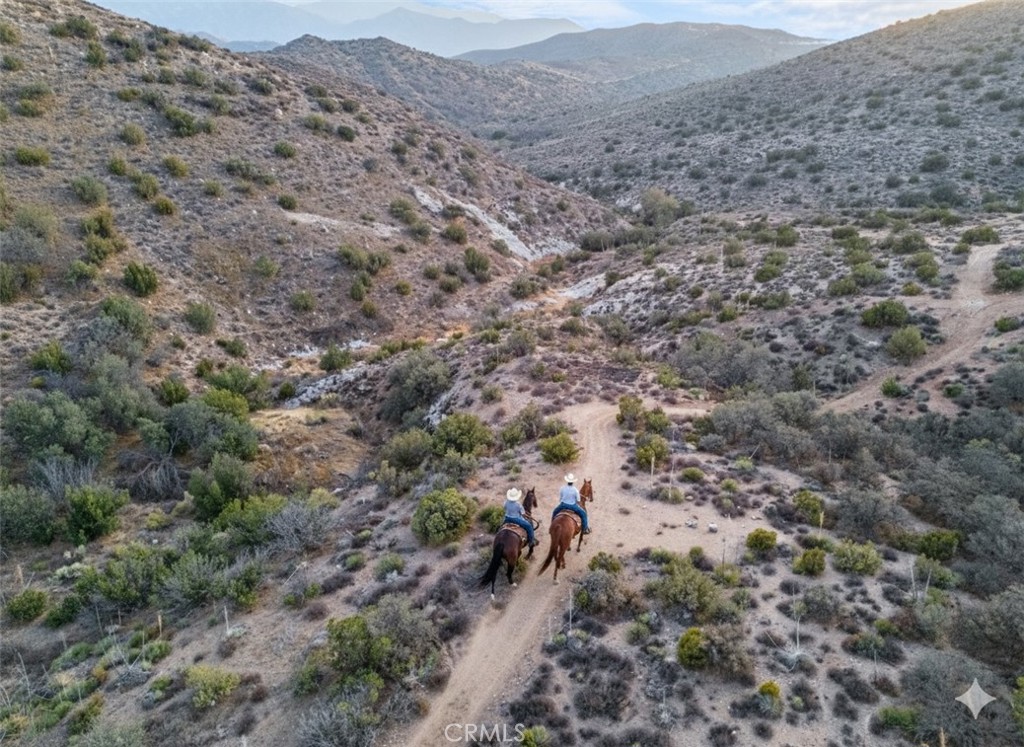 MLS #SR25268820 image #37