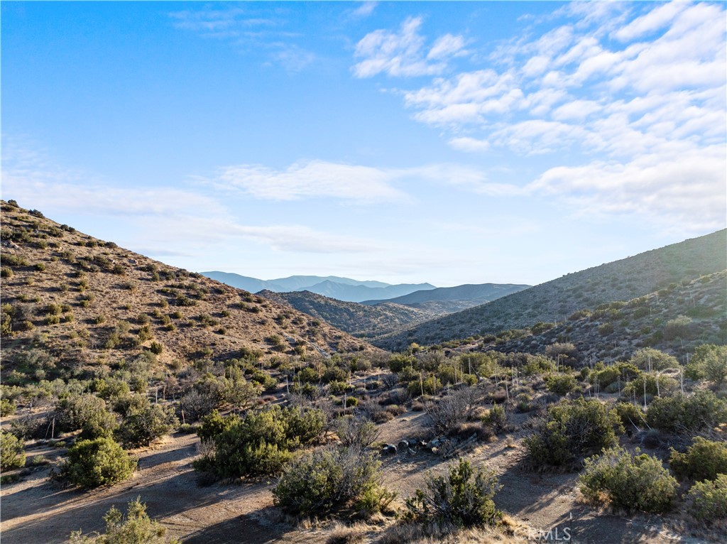 MLS #SR25268820 image #39