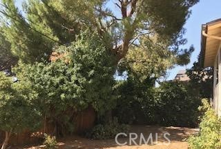 MLS #SR25269550 image #5