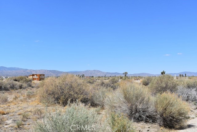 MLS #SR25269561 image #3