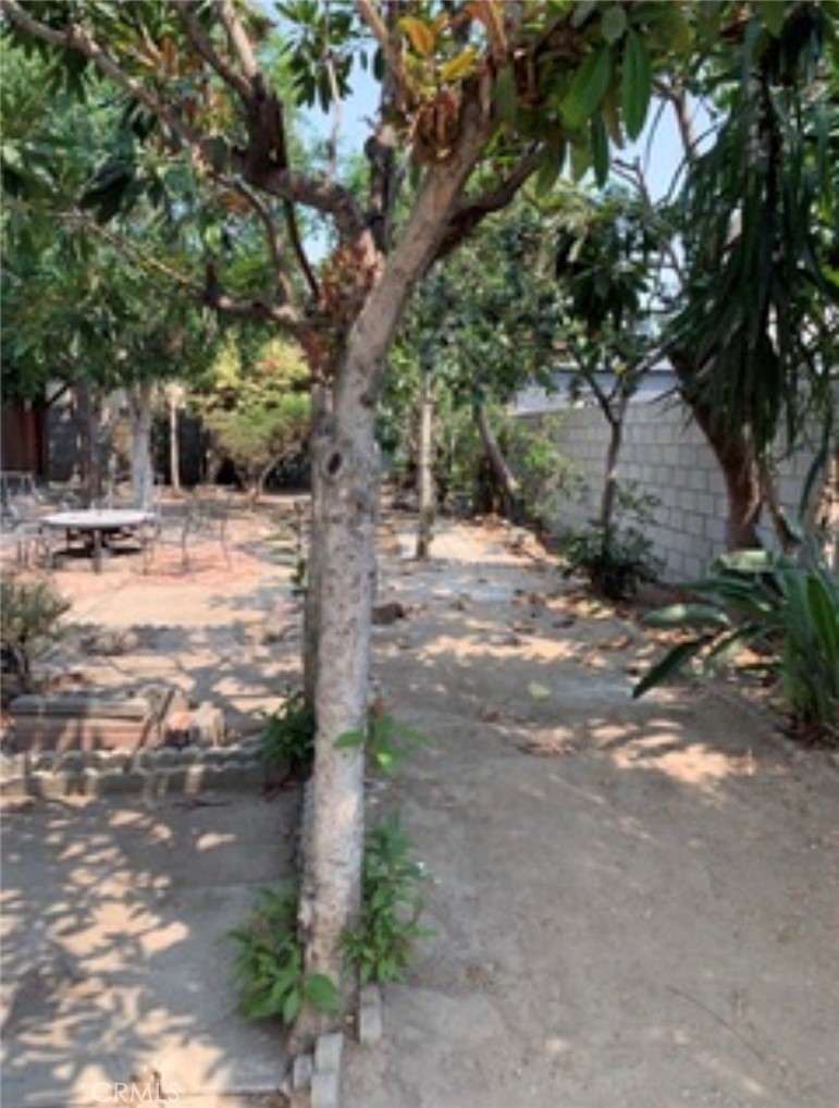 MLS #SR25269819 image #40