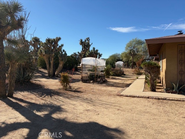 MLS #SR25269891 image #5