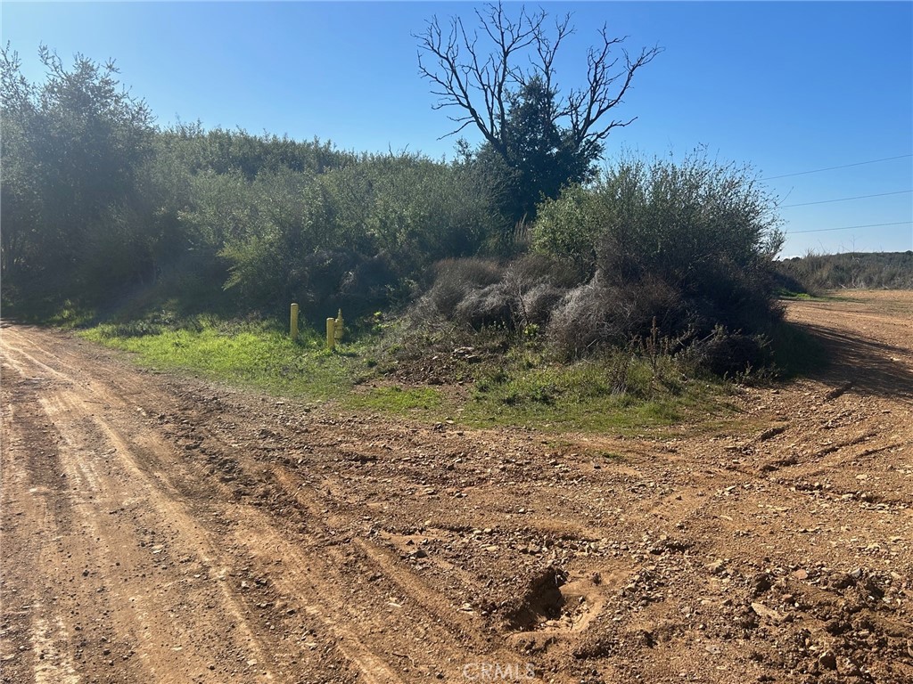 MLS #SR25270884 image #4