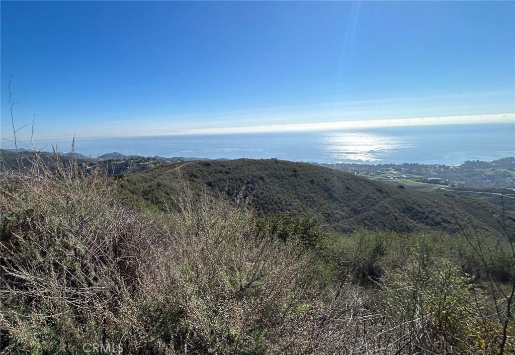 MLS #SR25270884 image #5