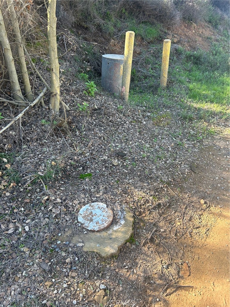 MLS #SR25271038 image #5