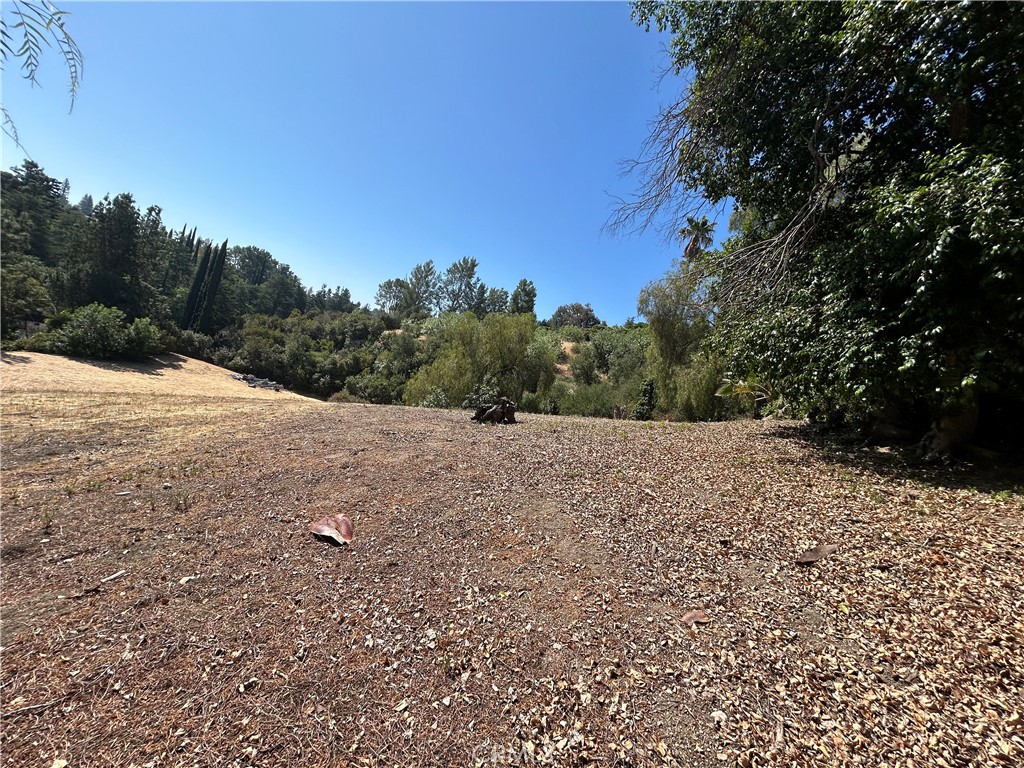 MLS #SR25271052 image #4