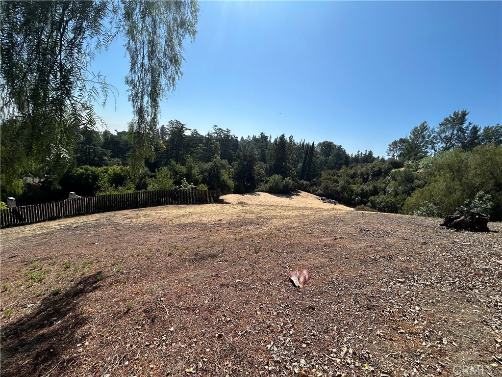 MLS #SR25271052 image #5