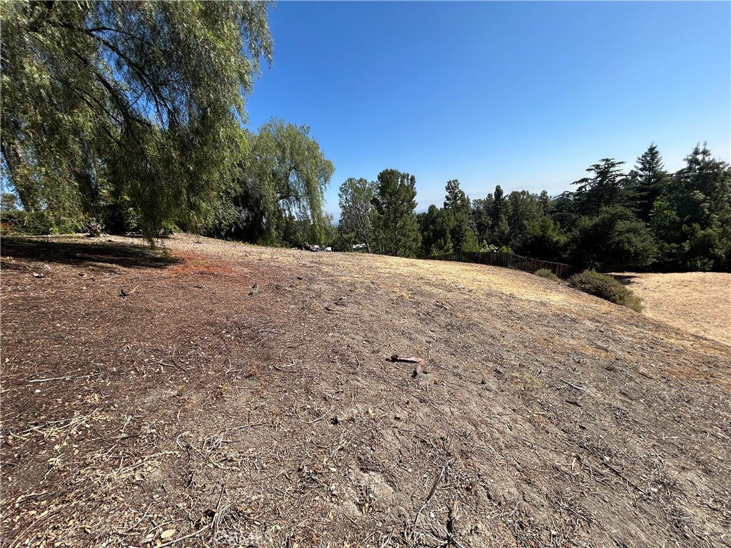 MLS #SR25271052 image #6