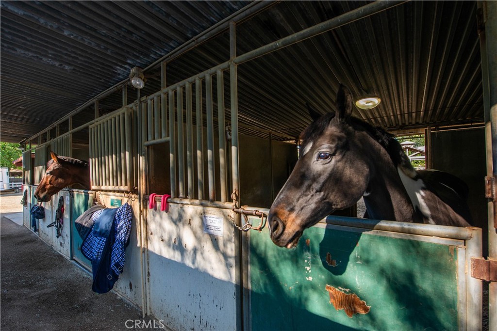 MLS #SR25271273 image #21