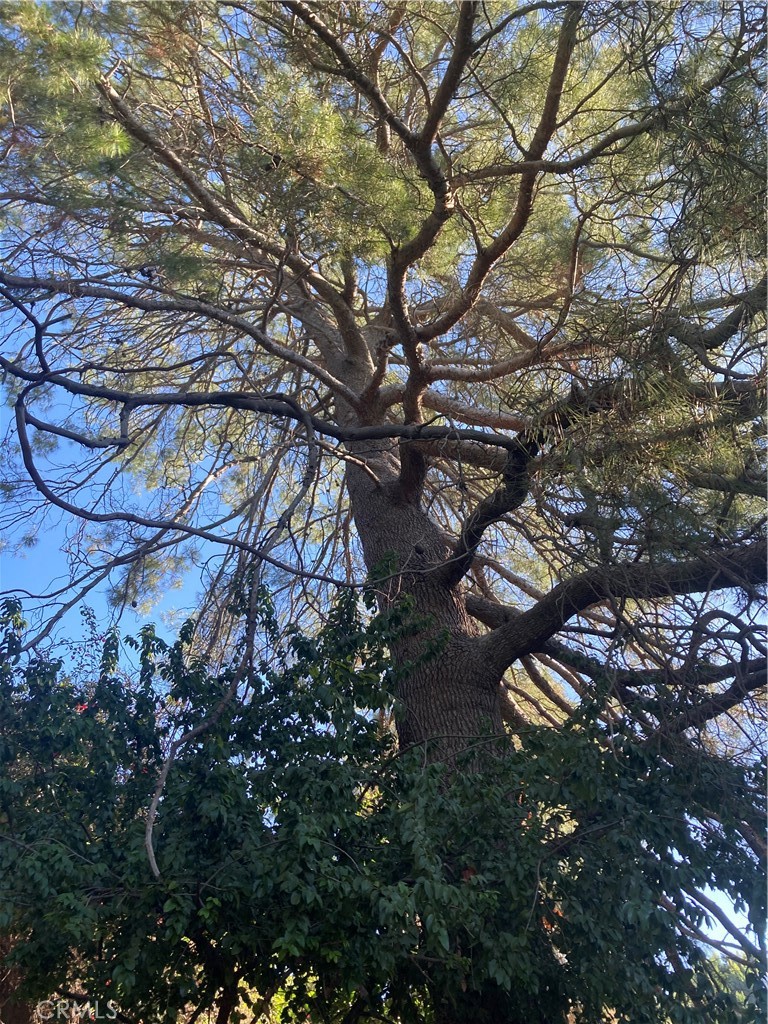 MLS #SR25271523 image #27