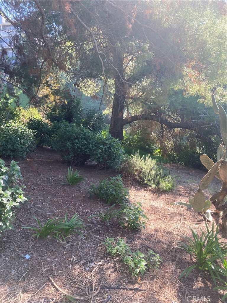 MLS #SR25271523 image #29