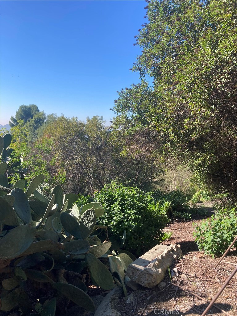 MLS #SR25271523 image #30