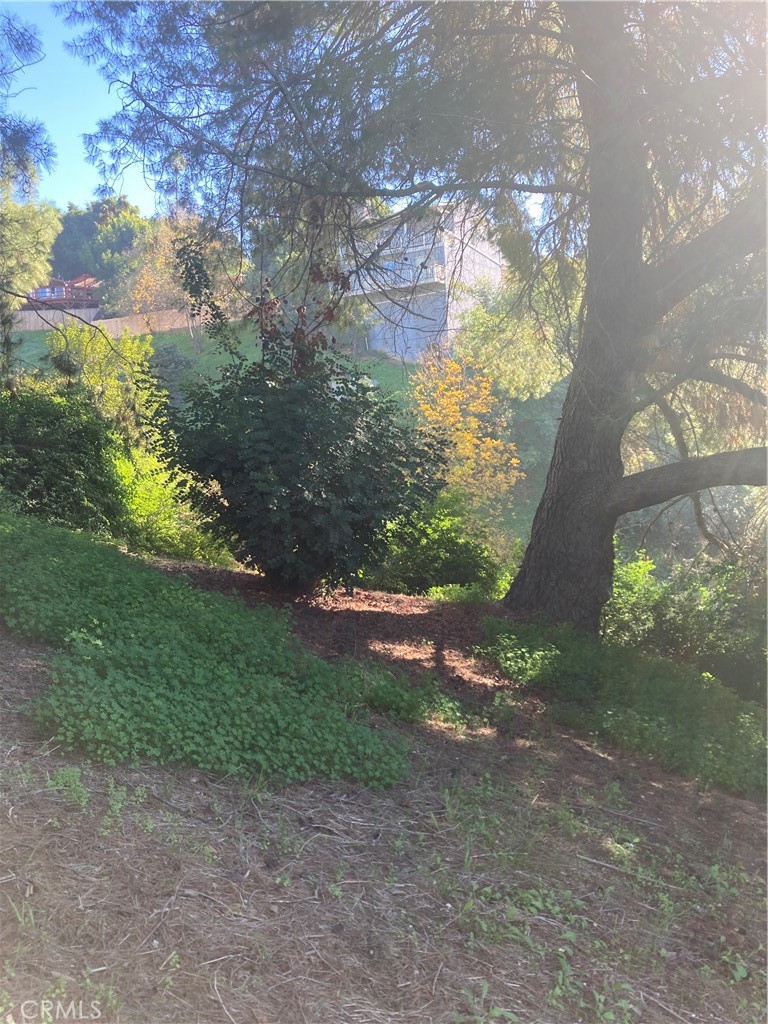 MLS #SR25271523 image #31