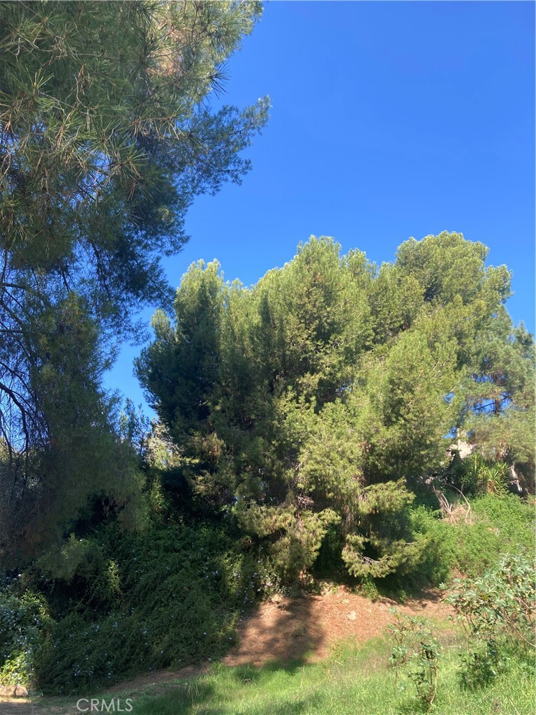 MLS #SR25271523 image #32