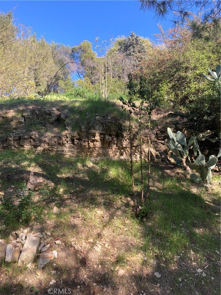 MLS #SR25271523 image #33