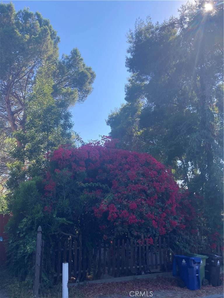 MLS #SR25271523 image #5