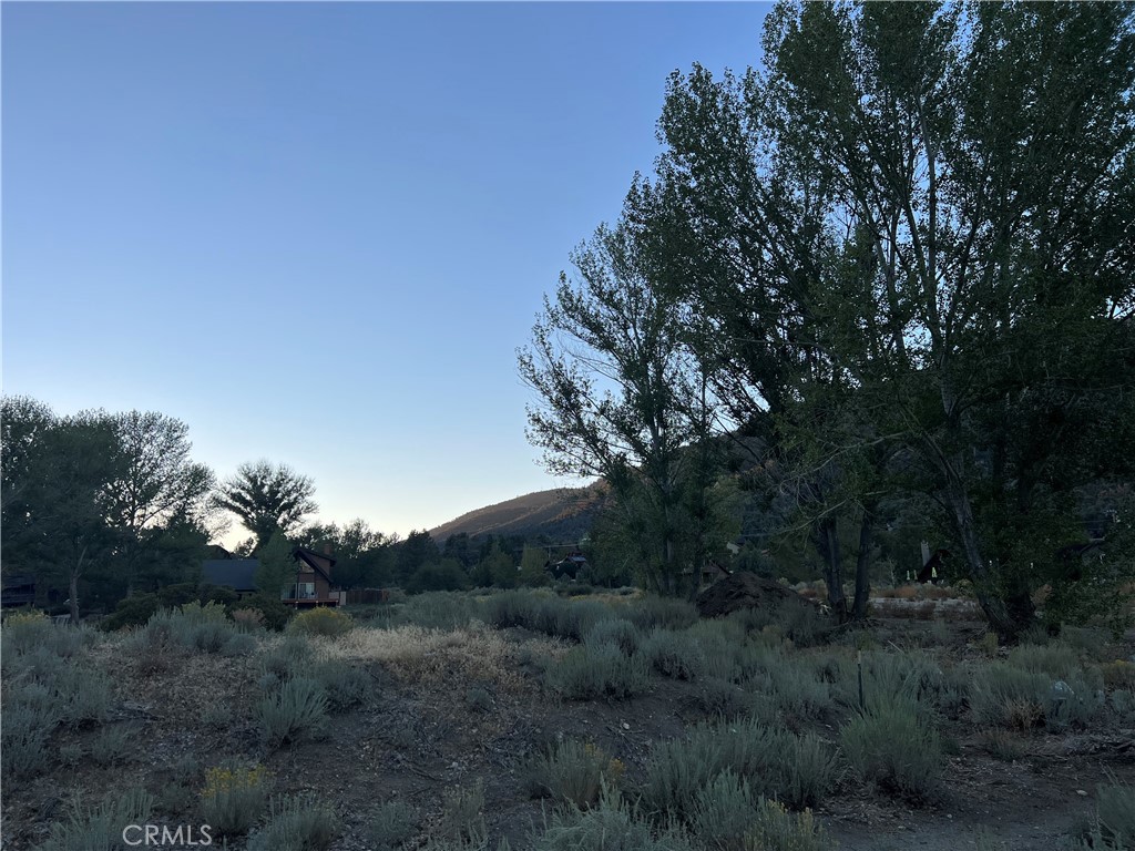 MLS #SR25271527 image #11