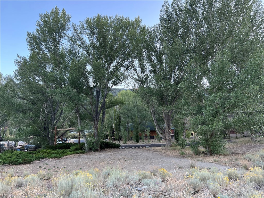 MLS #SR25271527 image #12