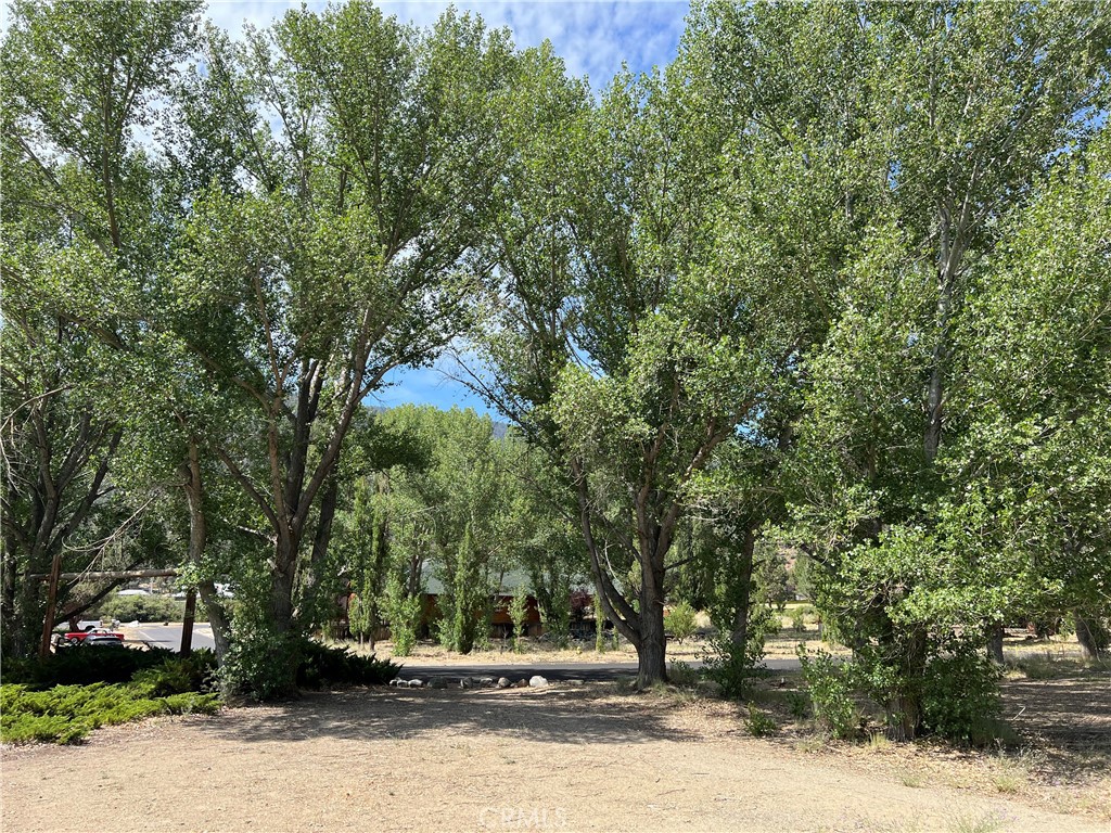 MLS #SR25271527 image #4