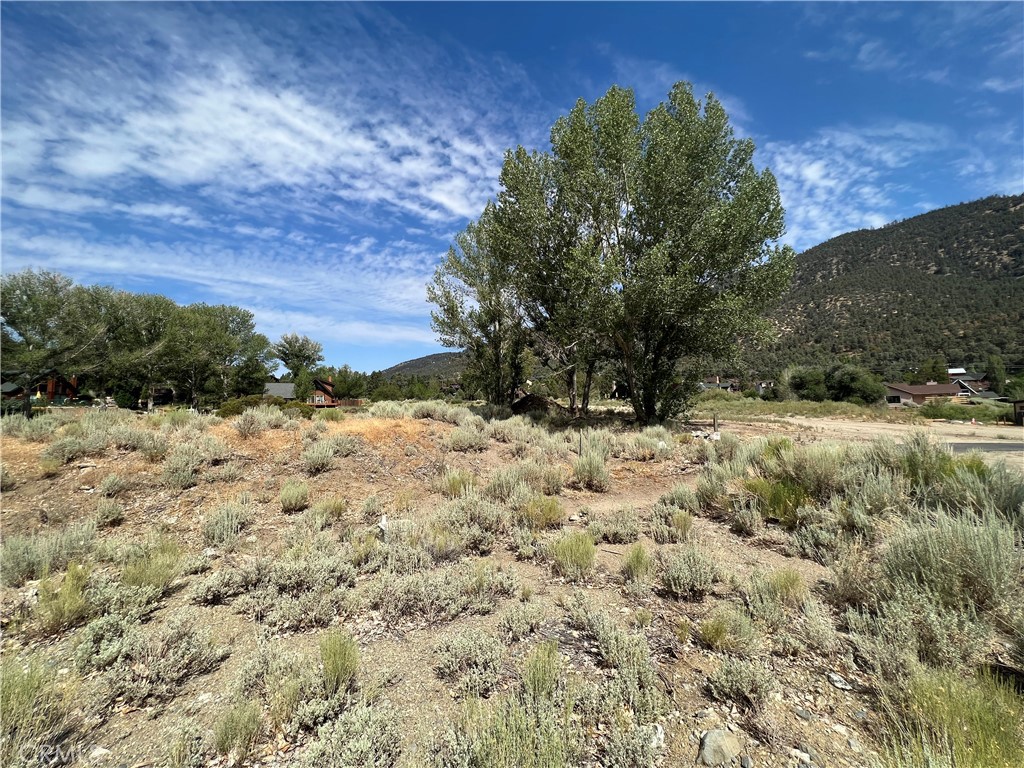 MLS #SR25271527 image #9