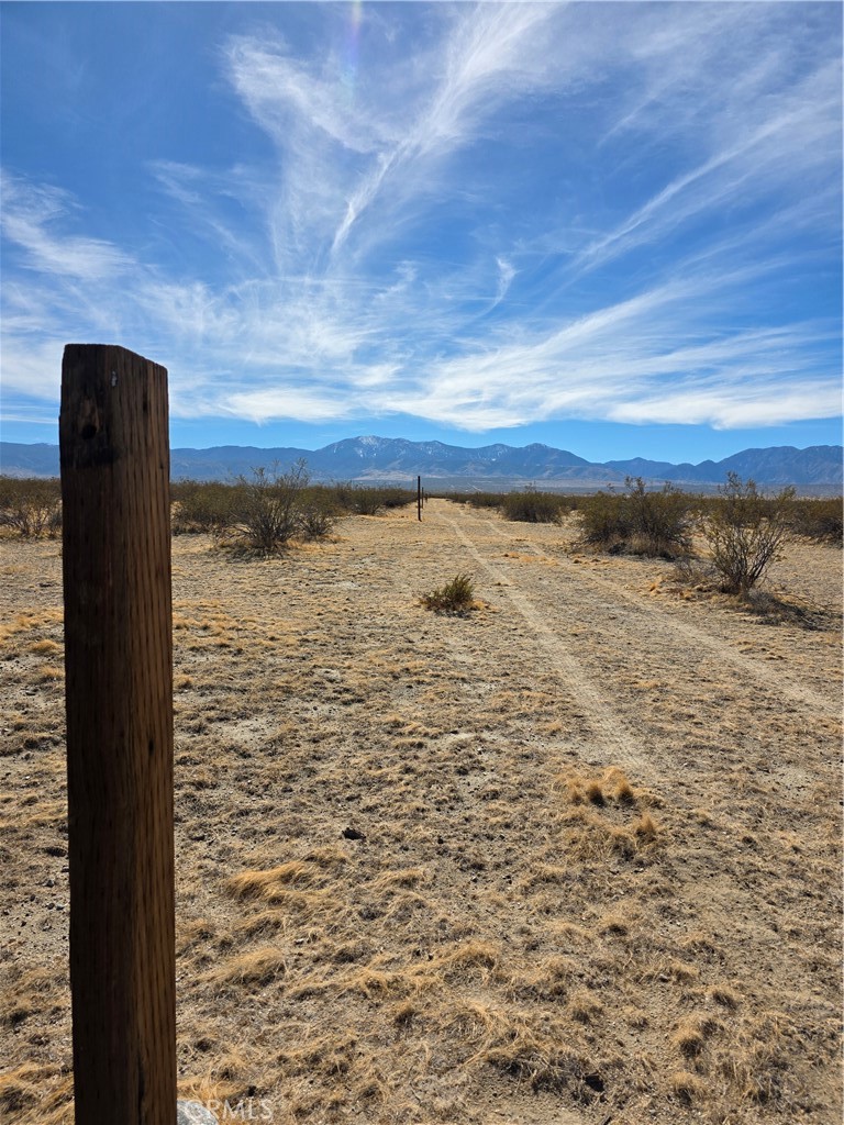 MLS #SR25271578 image #6