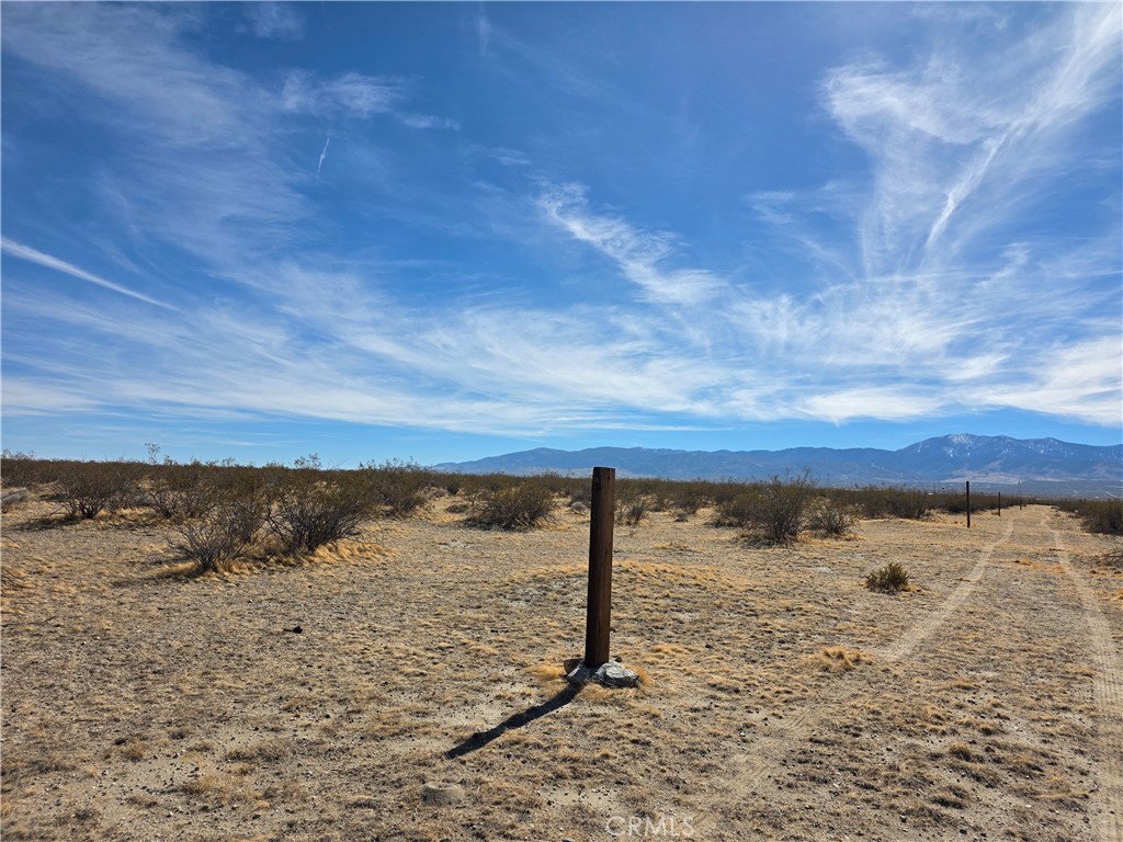 MLS #SR25271578 image #8