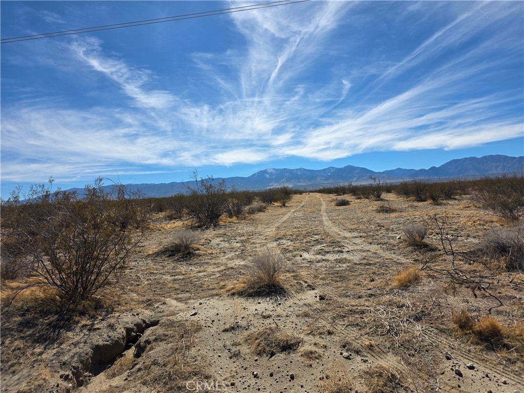 MLS #SR25271578 image #9