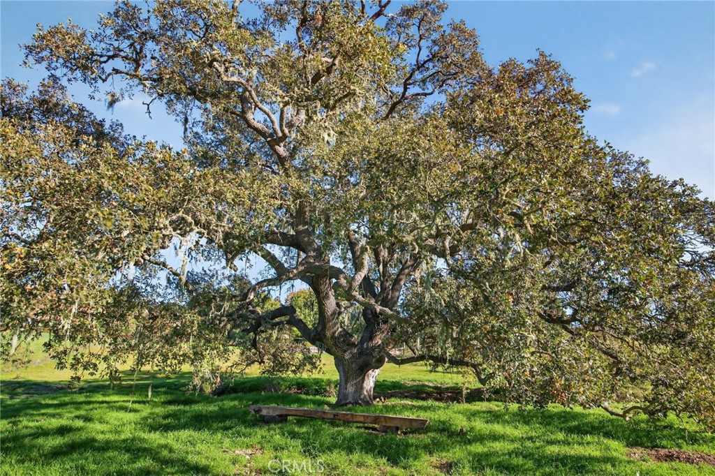 MLS #SR25272035 image #30